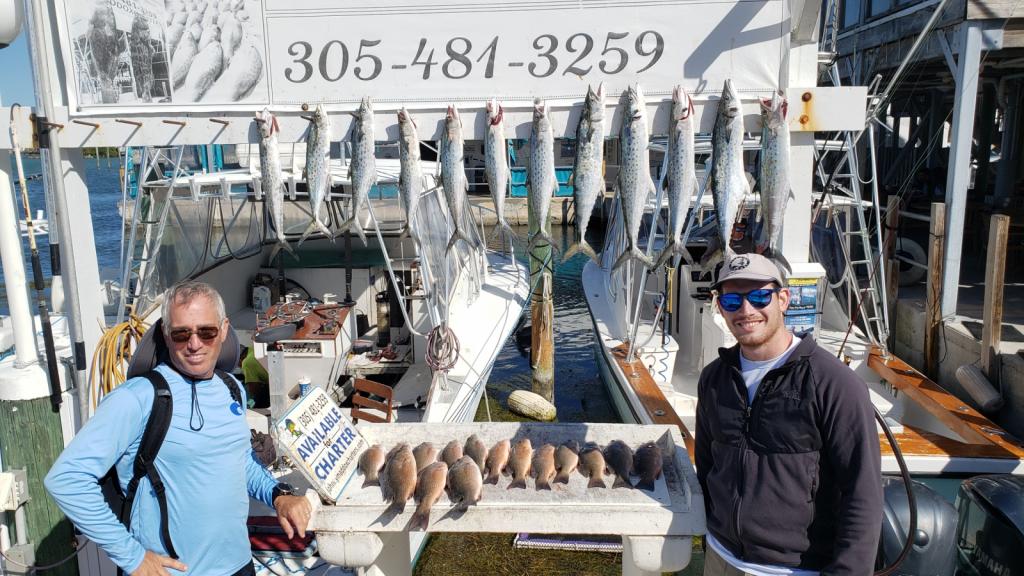 Bob and Jake went fishing: We caught tons of snapper (on the table) and mackerel (on the hooks) in an active morning of fishing